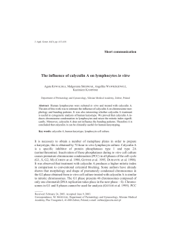 C:\JAG3\Kowalska Agata.vp