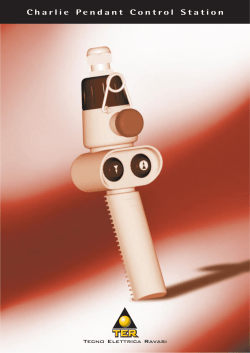 Charlie Pendant Control Station