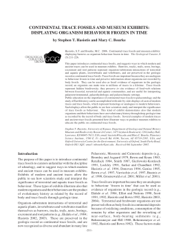 continental trace fossils and museum exhibits