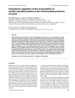 Cytoplasmic regulation of the accumulation of