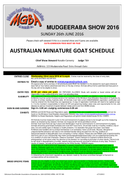 australian miniature goat schedule