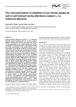 The characterization of inhibition of net nitrate uptake by salt in salt