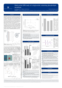 Multi-probe EPR study of a triglyceride containing