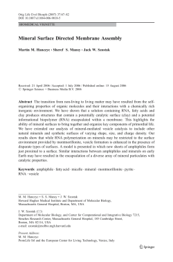 Mineral Surface Directed Membrane Assembly