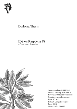 Diploma Thesis IDS on Raspberry Pi