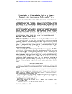 Unicellular or Multicellular Origin of Human