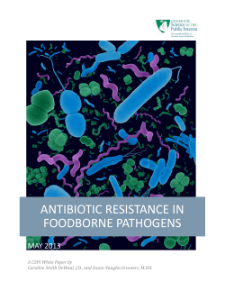 antibiotic resistance in foodborne pathogens