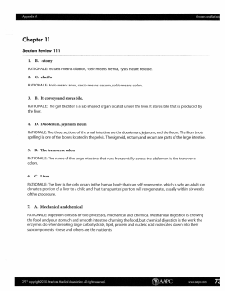 Chapter 11