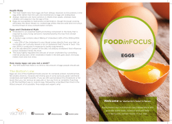 Eggs - Nutritious And Delicious