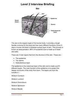 Level 2 Interview Briefing