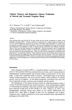 Glucose Turnover and Hepatocyte Glucose Production of Starved