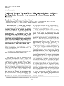 Spatial and Temporal Tracing of Vessel Differentiation in Young