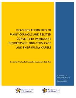 meanings attributed to family councils and related concepts by
