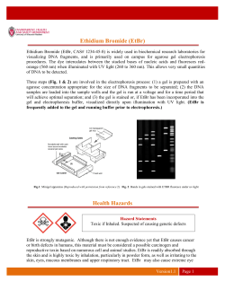 Ethidium Bromide (EtBr)