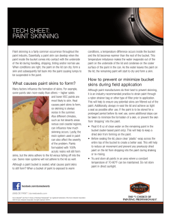 TECH SHEET: PAINT SKINNING