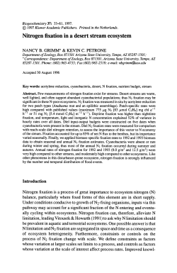 Nitrogen fixation in a desert stream ecosystem
