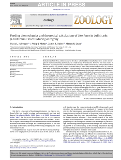 Feeding biomechanics and theoretical calculations of bite force in
