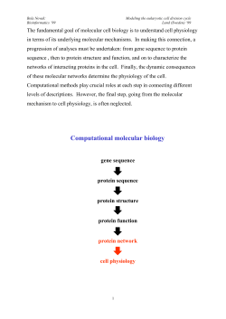 Computational molecular biology - Molecular Network Dynamics