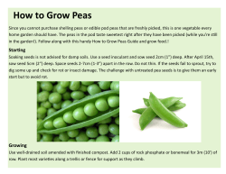 Peas - lookkamloops.ca