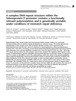 A complex DNA-repeat structure within the Selenoprotein P