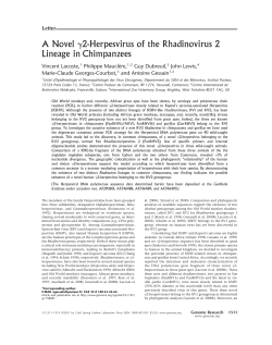 A Novel 2-Herpesvirus of the Rhadinovirus 2 Lineage in Chimpanzees