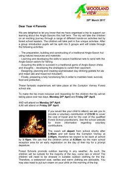 the PDF file
