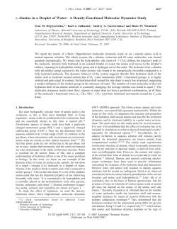 L-Alanine in a Droplet of Water: A Density