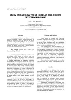 study on rainbow trout nodular gill disease detected in poland