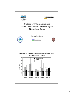 Phosphorus and Cladophora