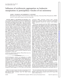 Influence of erythrocyte aggregation on leukocyte margination in