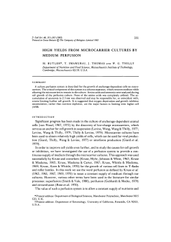 high yields from microcarrier cultures by medium perfusion