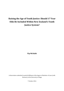 Raising the Age of Youth Justice: Should 17