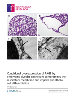 Conditional over-expression of RAGE by embryonic alveolar