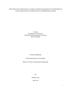 i THE EFFECTS OF MECHANICAL STIMULUS