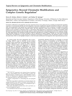 Epigenetics: Beyond Chromatin Modiications and