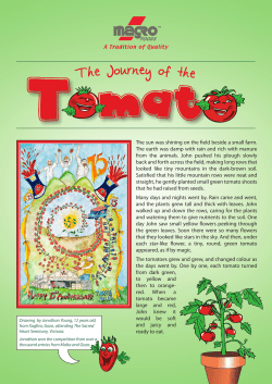 The sun was shining on the field beside a small farm. The earth was