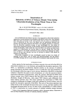 Inactivation of Infectivity of RNA of Tobacco Mosaic Virus during