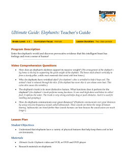 Teacher`s Guide Ultimate Guide: Elephants