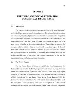 the tribe and social formation