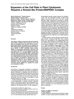 Expansion of the Cell Plate in Plant Cytokinesis