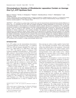 Chromatophore Vesicles of Rhodobacter capsulatus Contain on