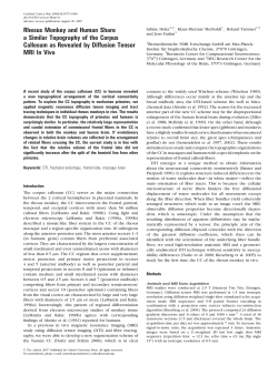Rhesus Monkey and Human Share a Similar
