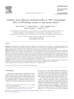 Oxidative stress influences cholesterol efflux in THP
