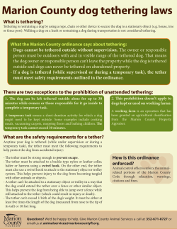 Marion County dog tethering laws