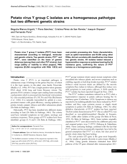Potato virus Y group C isolates are a homogeneous pathotype but