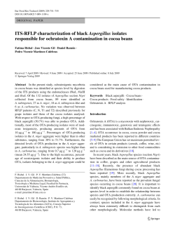 ITS-RFLP characterization of black Aspergillus isolates responsible