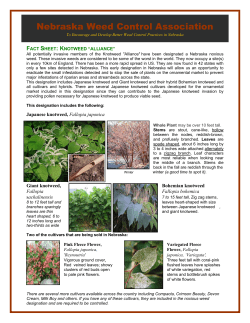 Japanese Knotweed - Nebraska Weed Control Association