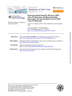 Class II Molecules Determines the Intracellular Fate of MHC Class II