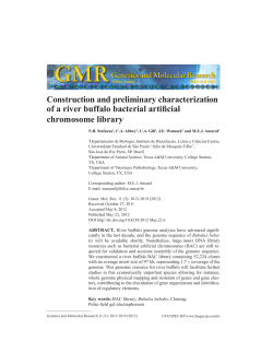 Construction and preliminary characterization of a