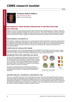 CBMS research booklet